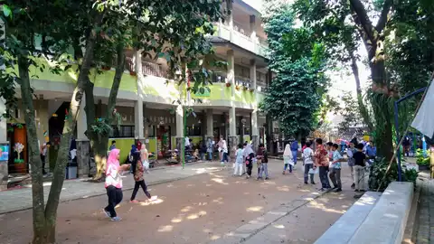 Semut-Semut The Natural School
